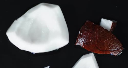 Fresh Coconut Pieces on Black Background