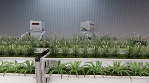Futuristic Robots Cultivating Plants in Automated Farm System