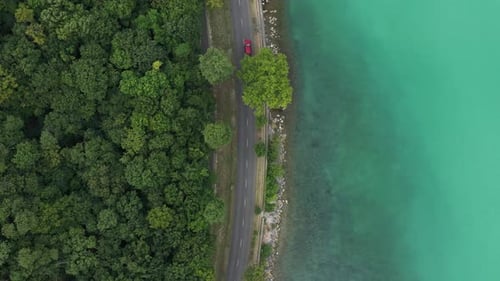 Cars Drive Along Lakefront Road Forest Aerial View
