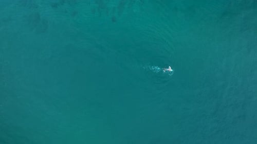 Sea Texture Aerıal Vıew 4 K Turkey Alanya