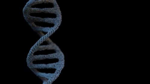 Rotating DNA Helix Animation for Science and Medical Projects