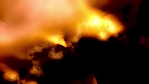 Abstract Organic Pattern Glowing