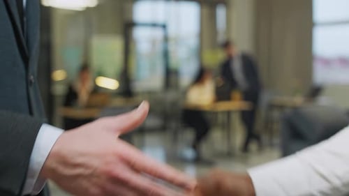 Hiring Businessman Shaking Hands with a African Man Colleague a Handshake in the Office Slow Motion