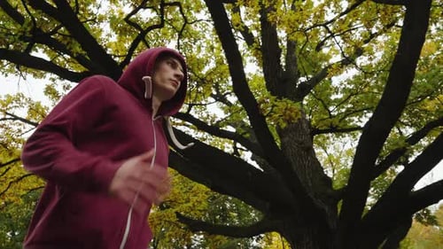 Jogger Running Under Yellow Trees in Slow Motion