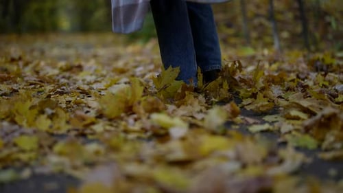 Woman is Walking in Forest in Autumn Kicking Fallen Foliage Closeup of Feet