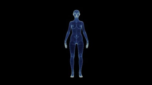 Rotating 3D Female Human Body Wireframe Hologram