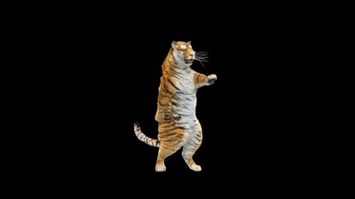Tiger-Tanz HD