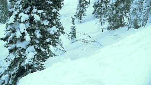 Skier Jumps Off Snowy Hill in Winter Forest