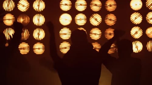 Cheering People Jumping Up Raising Hands in Club