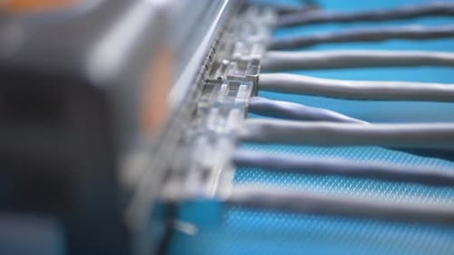 Network Switch Cables Plugged into Ports Close Up