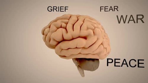 360 degrees view of the human brain with surrounding emotions. Loopable. HD