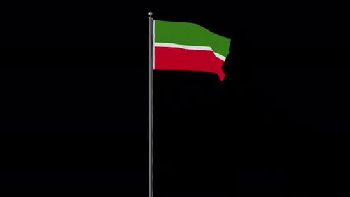 Green White Red Flag Waving Animation Loop