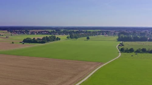 Flug über eine Sommerlandschaft aus grünen und wachsenden Feldern unter einem klaren blauen Himmel