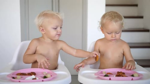 Toddlers Eating Food in Highchairs