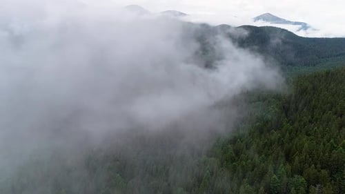 Flying Through the Clouds Above Mountain Tops. High Peaks with Forest, Wonderful Natural Landscape