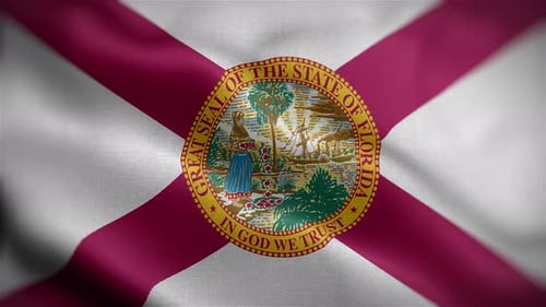 Waving Florida State Flag Seamless Loop