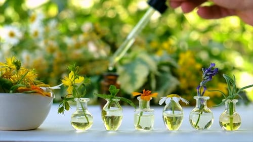 Medicinal Herbal Extracts in Bottles