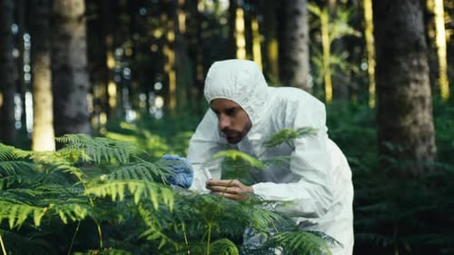 Scientist Analyzes an Endangered Plant