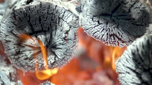 Close up of brightly burning wooden logs with yellow hot flames of fire