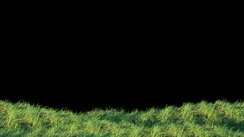 Blows Grass Loop