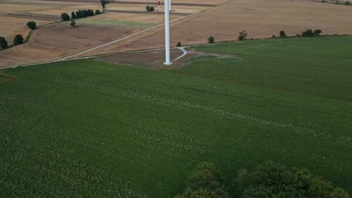 Windmühlenturbine im Feld am Sommertag