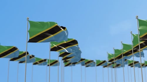 Multiple Tanzanian Flags Waving Against Clear Blue Sky