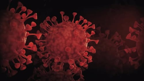 Virus Loop Background