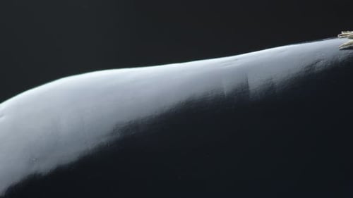 Close-Up of a Glossy, Dark Eggplant