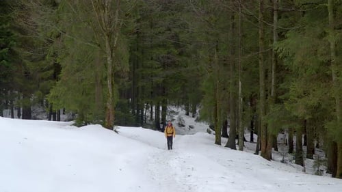 A Man with a Backpack Walks in the Winter Forest
