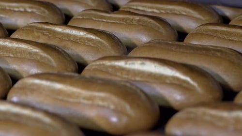 Loaf of Bread on the Production Line in the Bakery. Baked Loaf of Bread in the Bakery, Just Out of