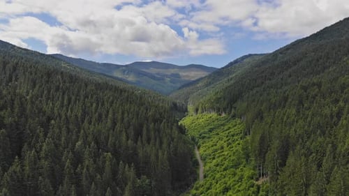 Scenic Mountain Range with Lush Green Trees