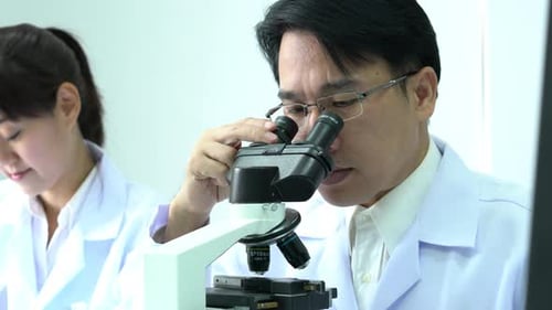 Scientists looking microscope