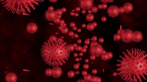Microscopic View of Red Viruses and Bloodstream Animation