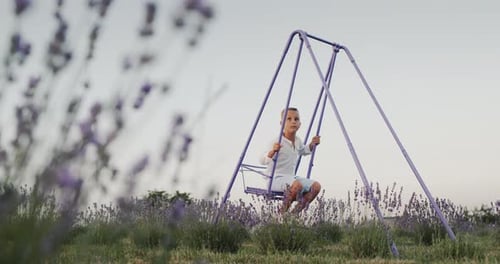 Carefree Boy Rides on a Swing in a Lavender Field