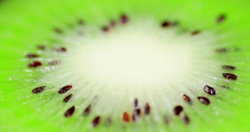 Extreme Close Up of Kiwi Fruit