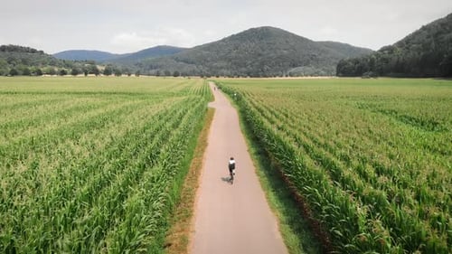 Cinematic Cycling