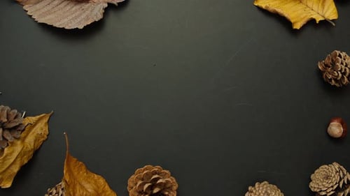 Wind Blows The Leaves