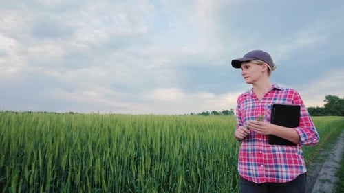 A Female Farmer with a Tablet Walks Along a Green Wheat Field