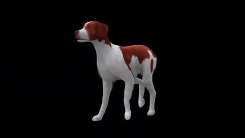 Brittany Walk Front Side View