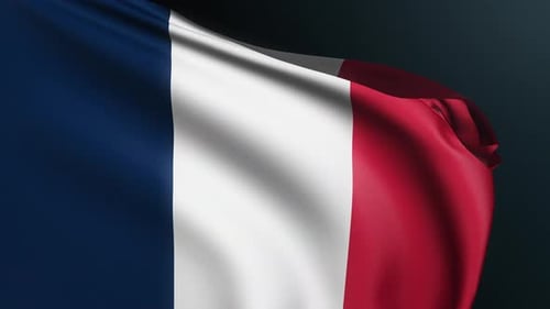 Realistic Waving Flag of France Loop