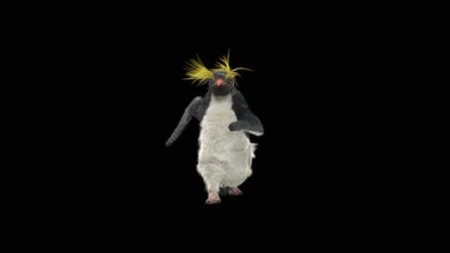 Penguin Dancing HD