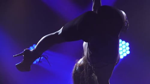 Uma dançarina de pole exótica se apresenta em uma boate
