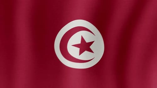 Waving Tunisia Flag Seamless Loop
