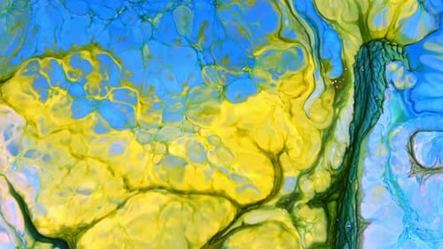 Abstract Paint Color Texture