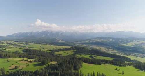 Flying Over the Beautiful Forest Trees. Landscape Panorama
