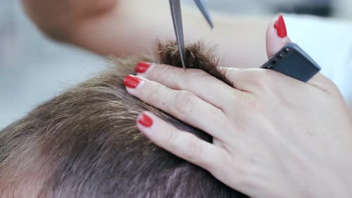 Closeup of Process of Cutting Hair with Scissors in Beauty Salon