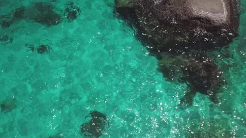 Sea Surface Ripple at Sunlight with Transparent Clear Water and Visible Sandy Bottom with Underwater