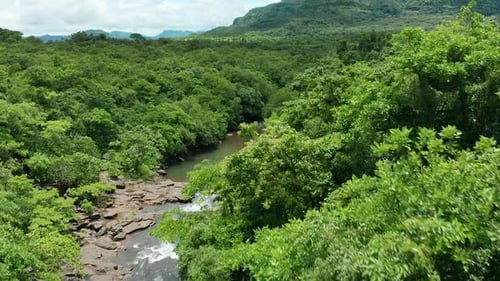 Observing a beautiful jungle stream during flight over a thick forest of India