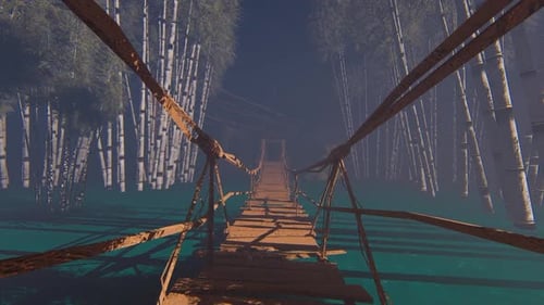 Seilbahn im Pampo Forest