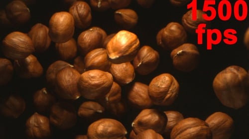 Hazelnuts Floating in a Dark Still Life